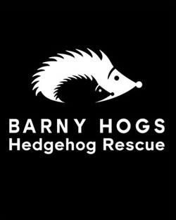 Barny Hogs
